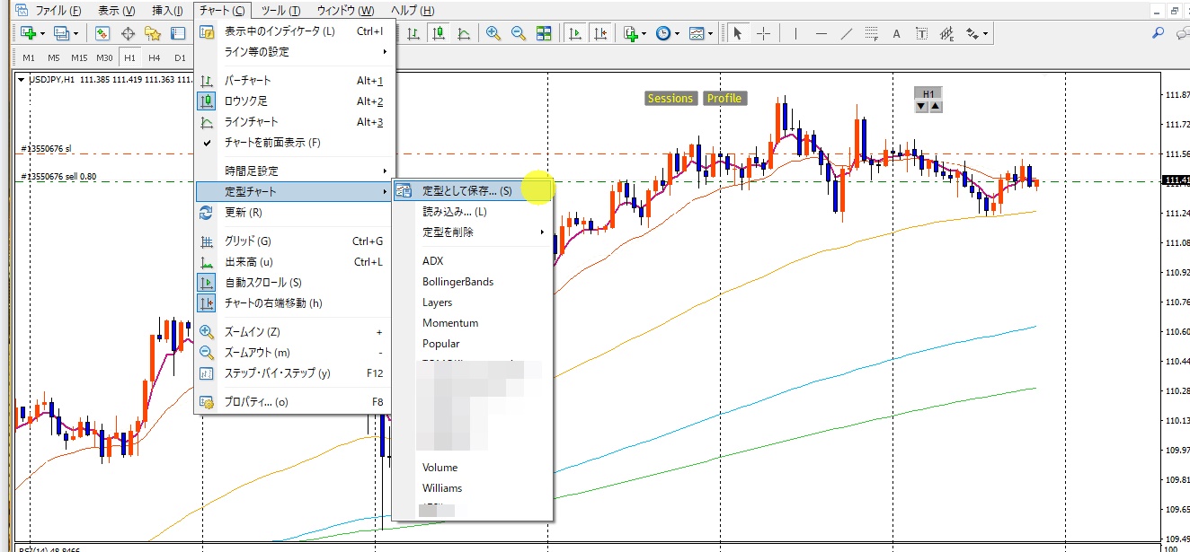 カスタマイズ保存
